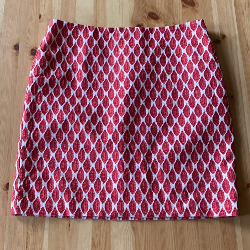 Coral Ann Taylor Skirt